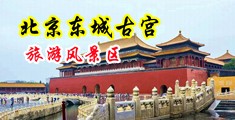 肏逼网喷水中国北京-东城古宫旅游风景区